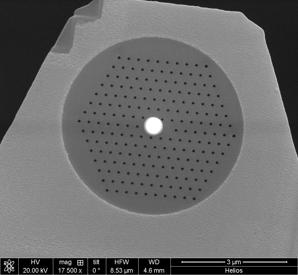 Plasmonic Cantilever