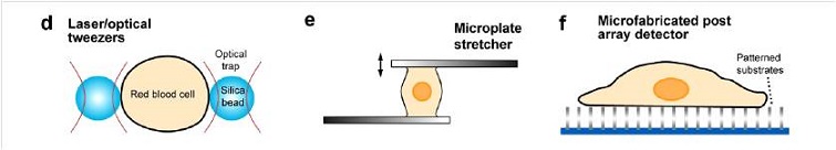 dstretch3-3