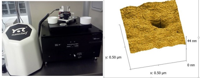 Afm system