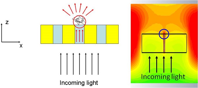 light to plasmon