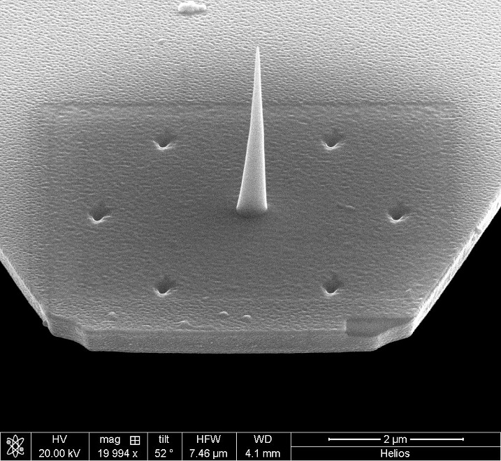 Photonic Crystal + Plasmonic Holes Array Cantilever