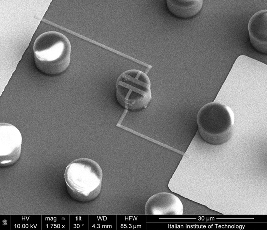 organic eletrochemical transistor