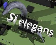 si-elegans