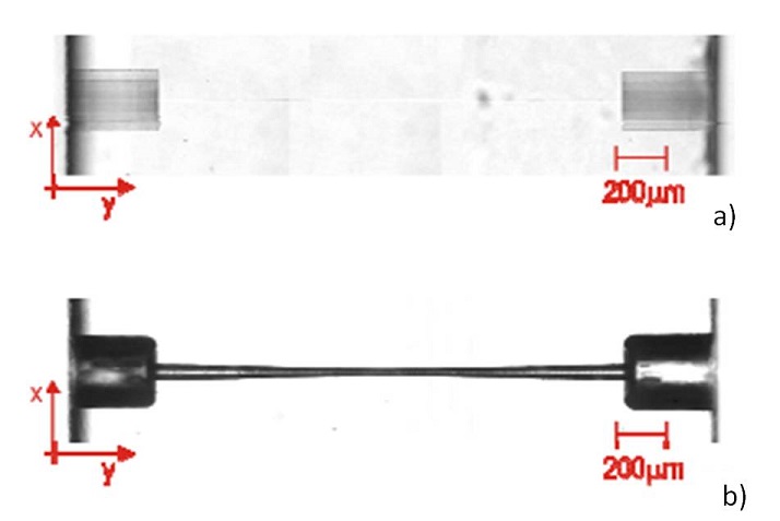 istretch4-9