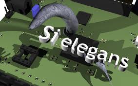 si_elegans_logo