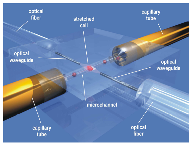 integrated optical stretcher